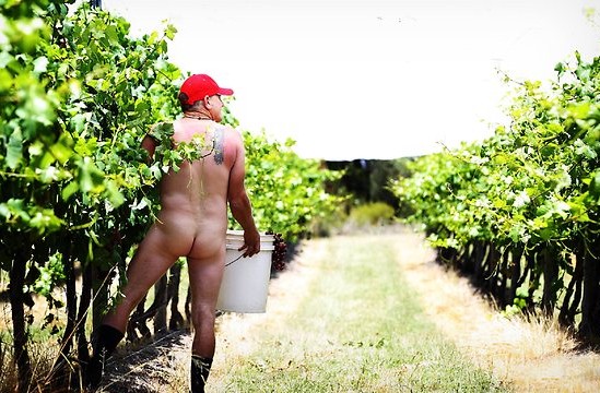 538245-mike-hayes-from-symphony-hill-wines-will-be-making-a-wine-using-traditional-methods