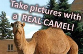 joe camel hump day