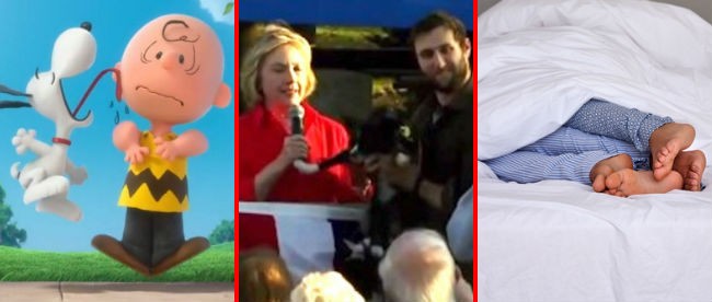 weekly wtf peanuts dogs spooning big