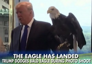 trump responds to time magazine bald eagle
