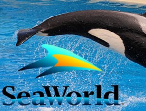 Screen Shot 2016-02-25 at 4.58.39 PM