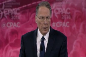Wayne LaPierre