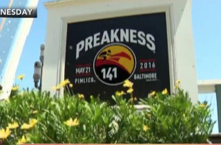 PicMonkey Collage - Preakness