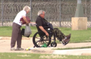 Screen Shot 2016-06-22 at 3.44.52 PM