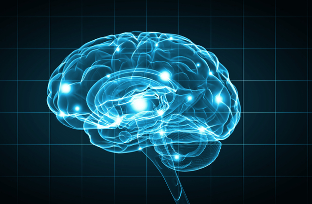 human brain imaging (Shutterstock)