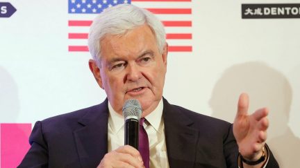Newt Gingrich speaks about Trump, Trudeau, and Nieto regarding NAFTA Negotiations at Dentons NAFTA 2.0 Summit on October 11, 2017 in Washington, DC.