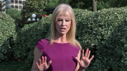 Kellyanne Conway Melts Down When Busted for Lying About Violating Hatch Act