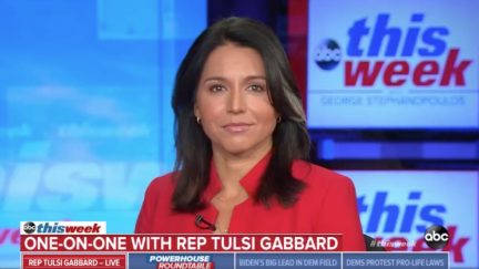 Tulsi Gabbard Fundraising Off 'Fake News' Daily Beast Report