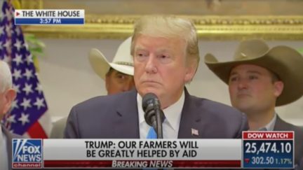 Donald Trump Bites Back at Nancy Pelosi