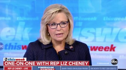 Liz Cheney Accuses Former FBI Officials of Plotting Against Trump