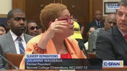Witness at Slavery Reparations Hearing Calls Republicans 'The Devil'