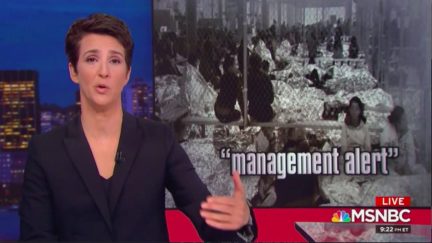 Rachel Maddow Incensed Over Trump WH Deportation Plans