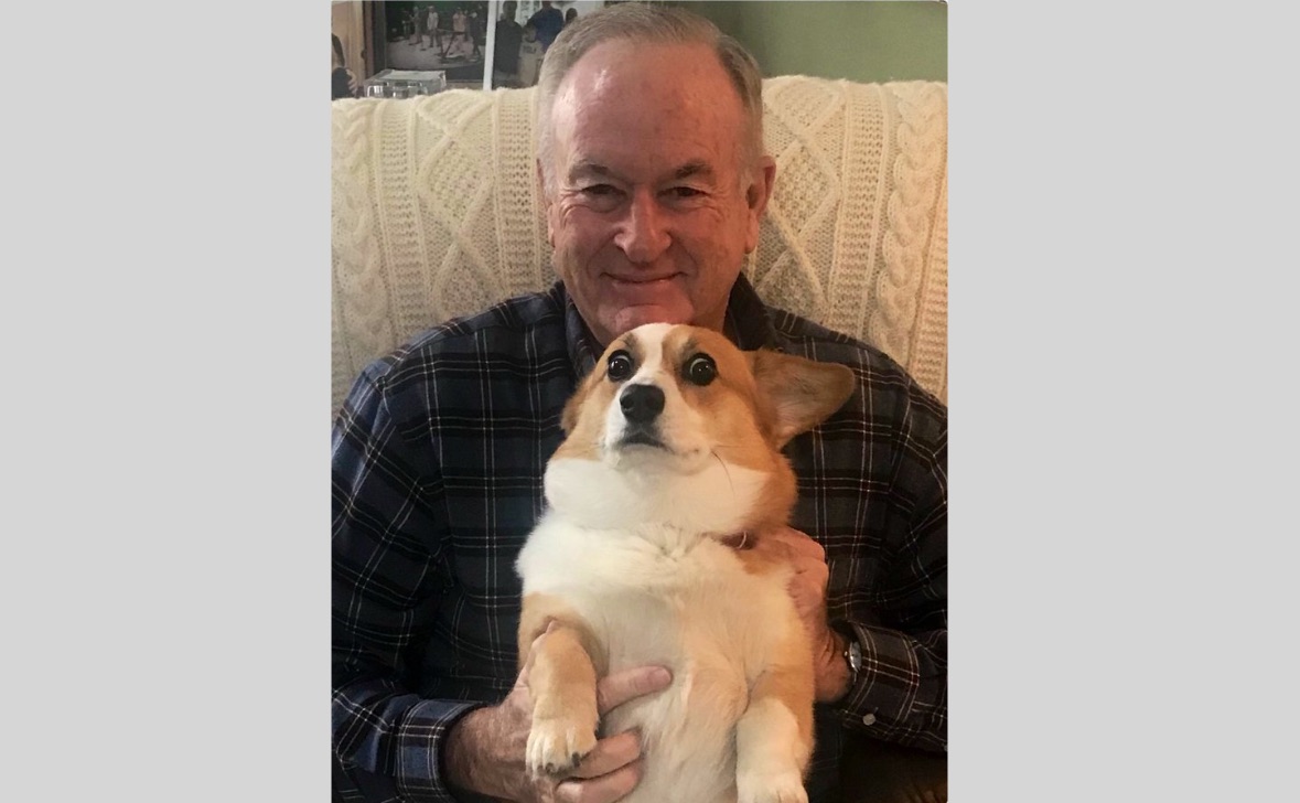 Bill O'Reilly's Dog's Panicked Look Ignite Concern Online