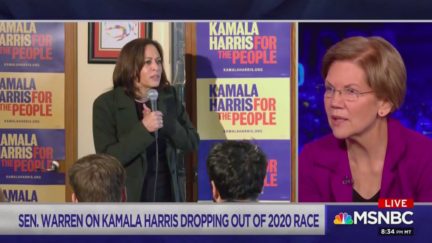 Elizabeth Warren Embraces Kamala Harris as Potential VP Pick