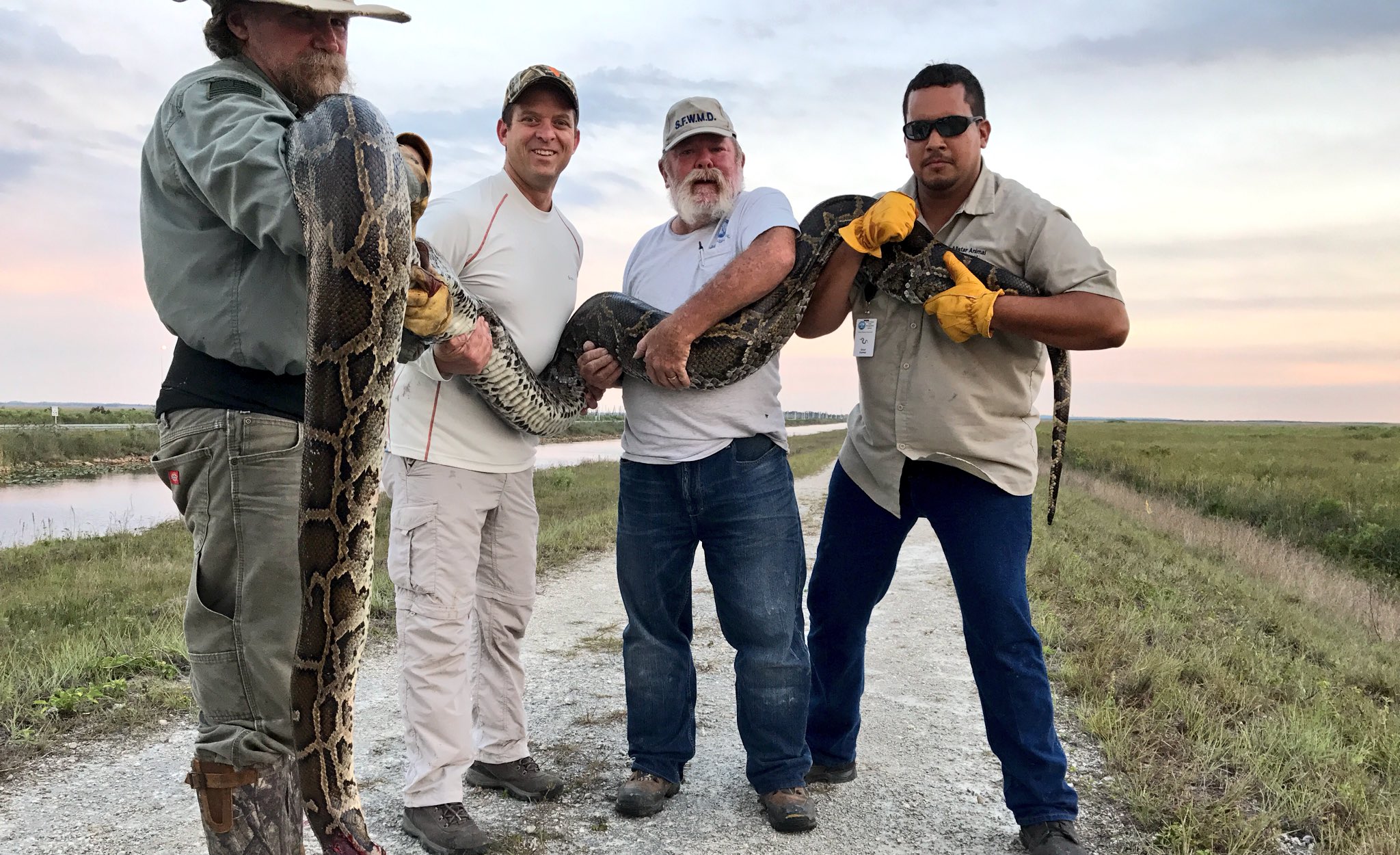 Florida Legislature Debate Using Drones to Hunt Down Pythons