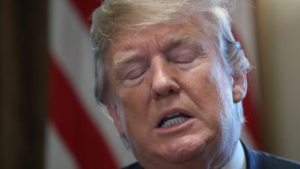 President Donald Trump