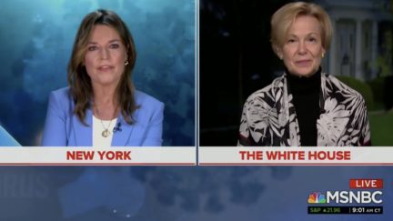 dr. birx projects 200,000 deaths