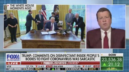 neil cavuto