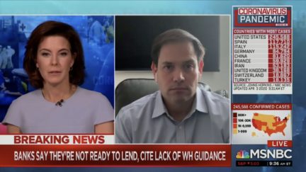 ruhle grills rubio
