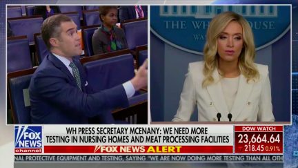 WH Press Sec'y Kayleigh McEnany Dismisses Widespread Testing Before Boasting About Testing Capability
