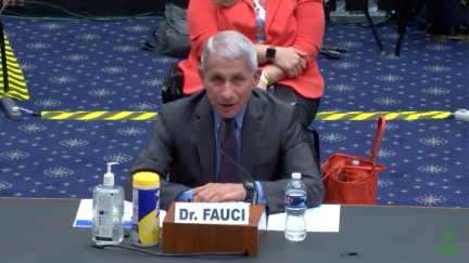 Anthony Fauci