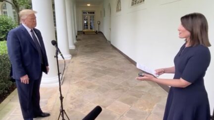 donald trump interview