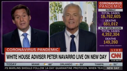 john berman peter navarro