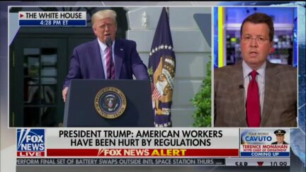 Neil Cavuto