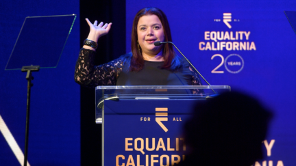 Ana Navarro Matt Winkelmeyer/Getty Images