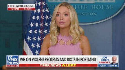 Kayleigh McEnany