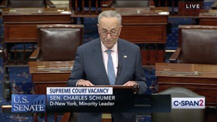 chuck schumer