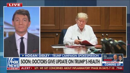 bill hemmer hogan gidley