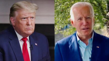Donald Trump, Joe Biden