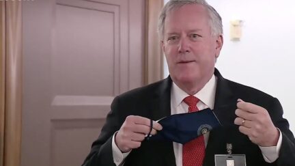 mark meadows