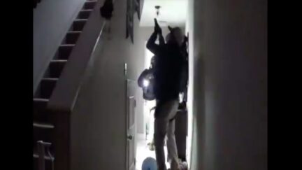 Armed State Agents Raid Home of Covid Researcher Rebekah Jones Fired by Ron DeSantis