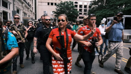 virginia state senator amanda chase