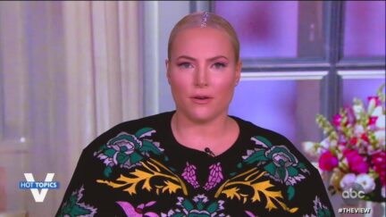 meghan mccain