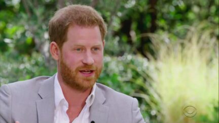 prince harry