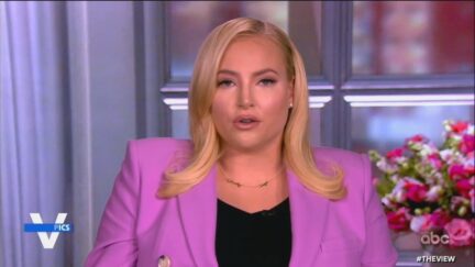 Meghan McCain on The View