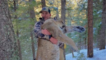 Patrick Montgomery shoots mountain lion