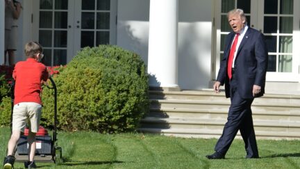 US President Donald Trump watches Frank Giaccio, 11, of Falls Church, Virginia, as he mows the lawn in the Rose Garden of the White House on September 15, 2017, in Washington, DC. Giaccio, who has his own lawn mowing business wrote a letter to the President asking if he could mow the lawn at the White House. / AFP PHOTO / Mike Theiler (Photo credit should read MIKE THEILER/AFP via Getty Images)