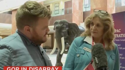 Donie O'Sullivan interviews a woman at CPAC