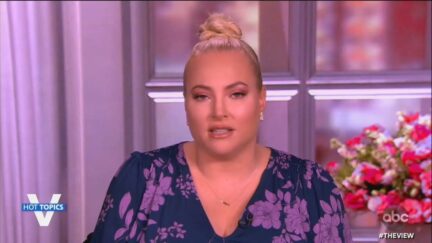 Meghan McCain thinks CDC is Stupid