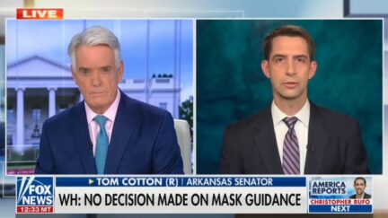 Tom Cotton