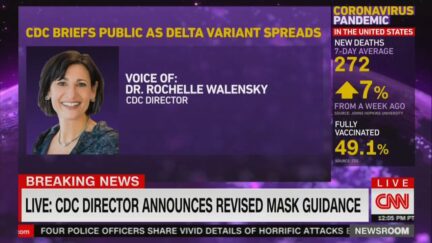 Dr. Rochelle Walensky