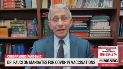 Anthony Fauci on Morning Joe