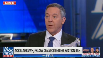 Greg Gutfeld