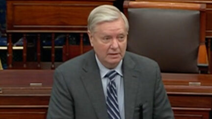 Lindsey Graham