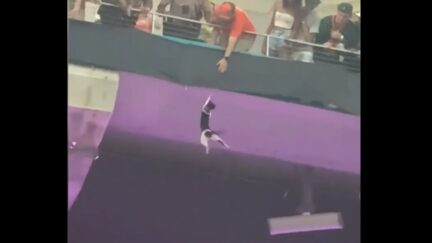 College football fans catch falling cat with an American flag at Hard Rock Stadium in Miami