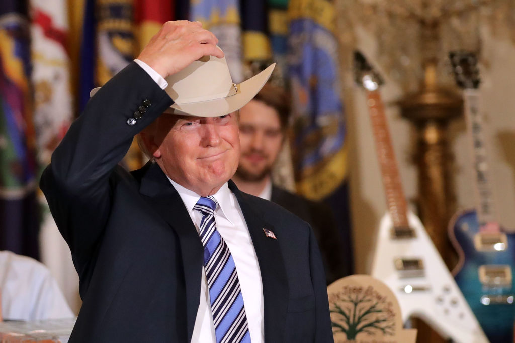 donald trump in a cowboy hat